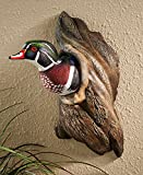 You are currently viewing Discover the Best Wood Duck Mount of 2023 – Expertly Crafted and Lifelike Displays