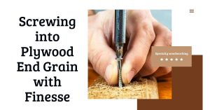 Read more about the article Screwing into Plywood End Grain with Finesse