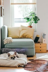 Read more about the article Comprar futones de buena calidad y baratos