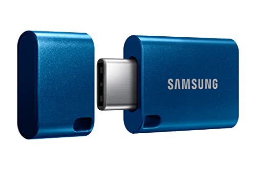 Samsung Type-C™ USB Flash Drive, 256GB, Transfers 4GB Files in 11 Secs w/Up to 400MB/s 3.13 Read Speeds, Compatible w/USB 3.0/2.0, Waterproof, 2022, Blue, MUF-256DA/AM