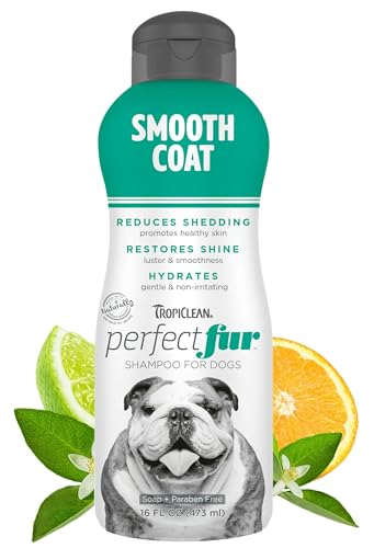 TropiClean Perfect Fur Dog Shampoo for Shedding Control & Restoring Shine for All Breeds with A Smooth Coat | 16 oz